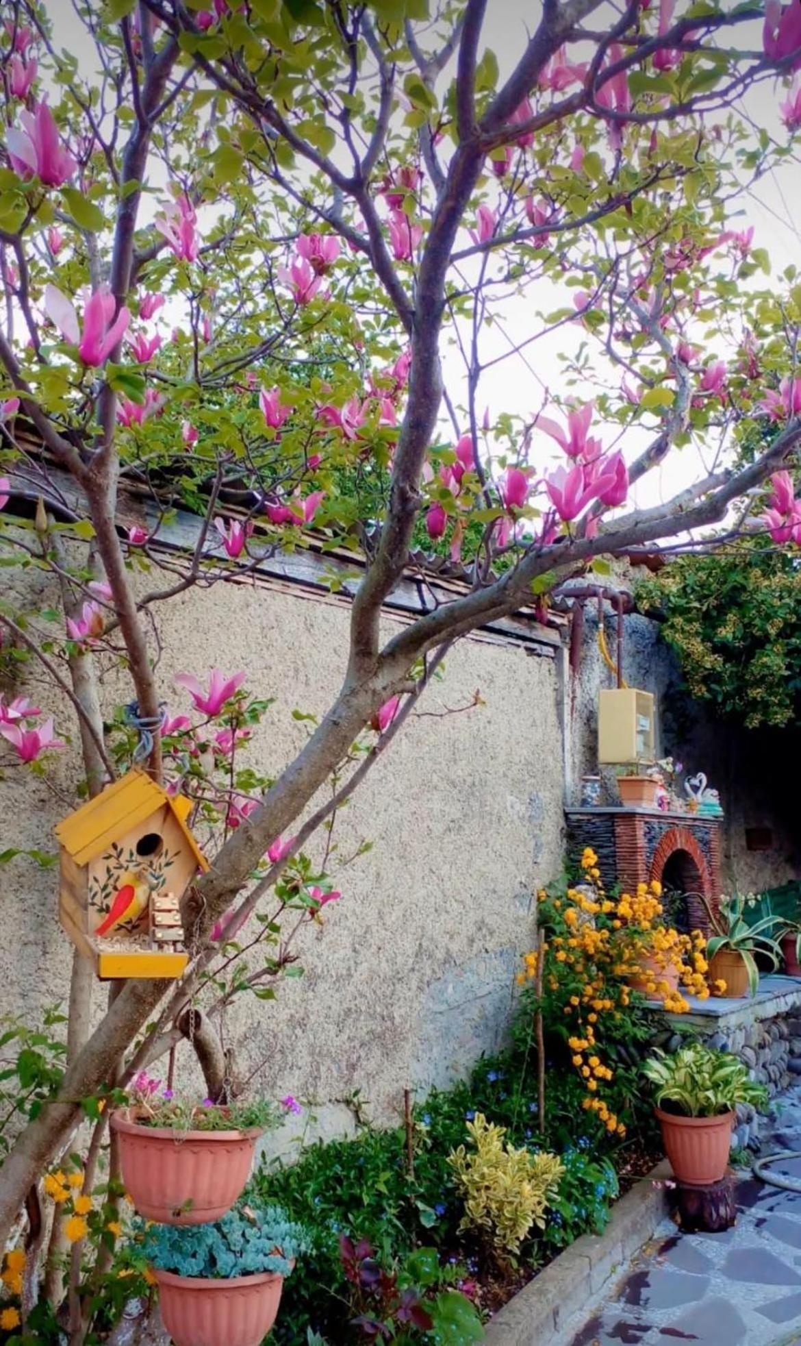 Guesthouse Giorgi Telavi Extérieur photo
